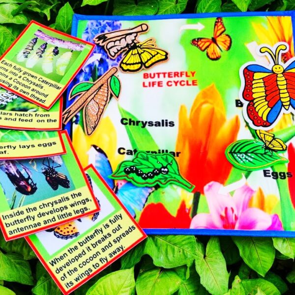 Interactive Felt Fabric, Butterfly Life cycle Learning Resources