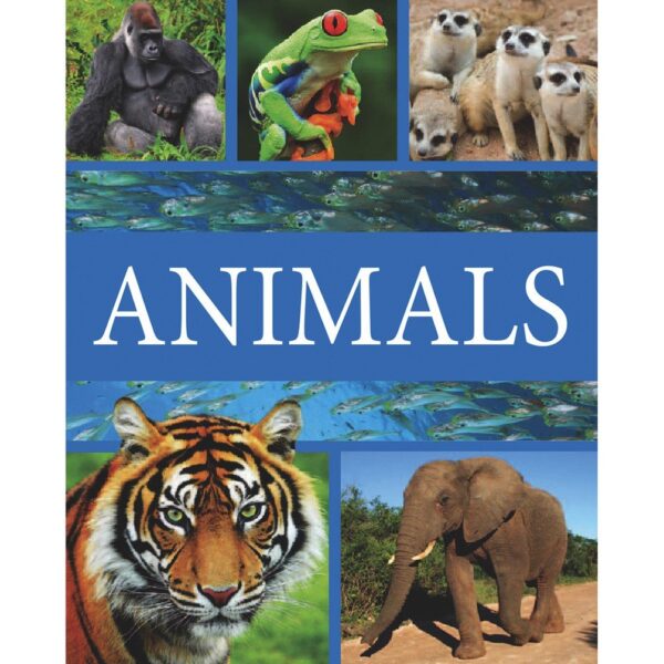 Animals Hardcover | 8 to 10 yrs